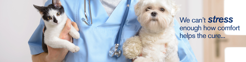 Resources for Veterinarians