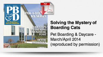 Solving the Mystery of Boarding Cats with Innovative Housing Options