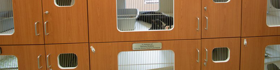 cat condos for shelters