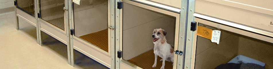 Mason Company - Kennel Manufacturer, Kennel Designs, Kennel equipment -  ISO-Care™ Quarantine Cages